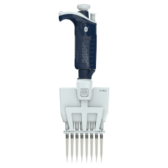f81056_main_a.png